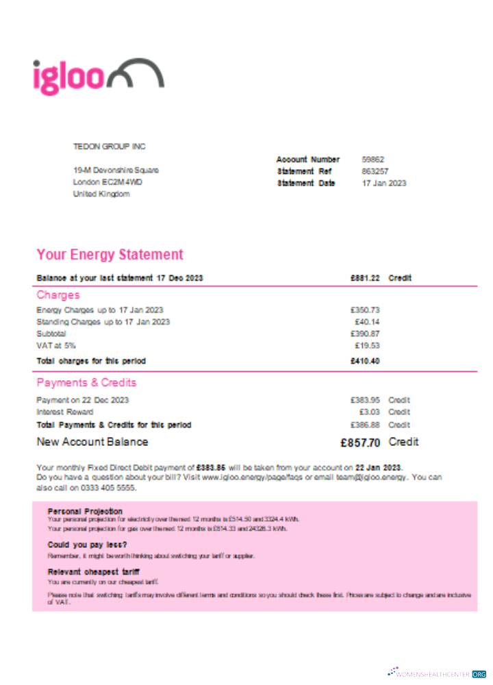 Download Igloo Energy utility business bill, SCR Photoshop template